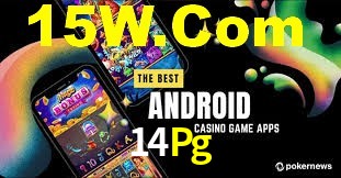 VIP Casino 14Pg