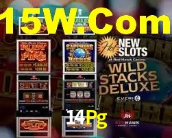 Tournaments 14Pg