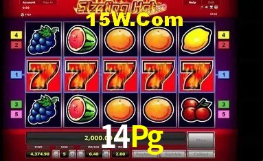 Provedores de Jogos 14Pg